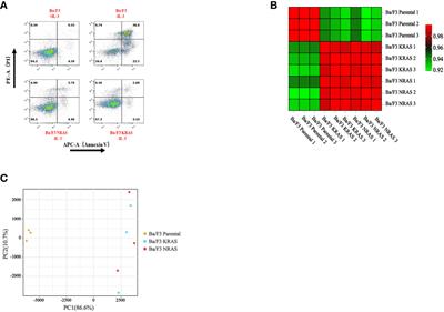 Mutations of RAS genes identified in acute myeloid leukemia affect glycerophospholipid metabolism pathway